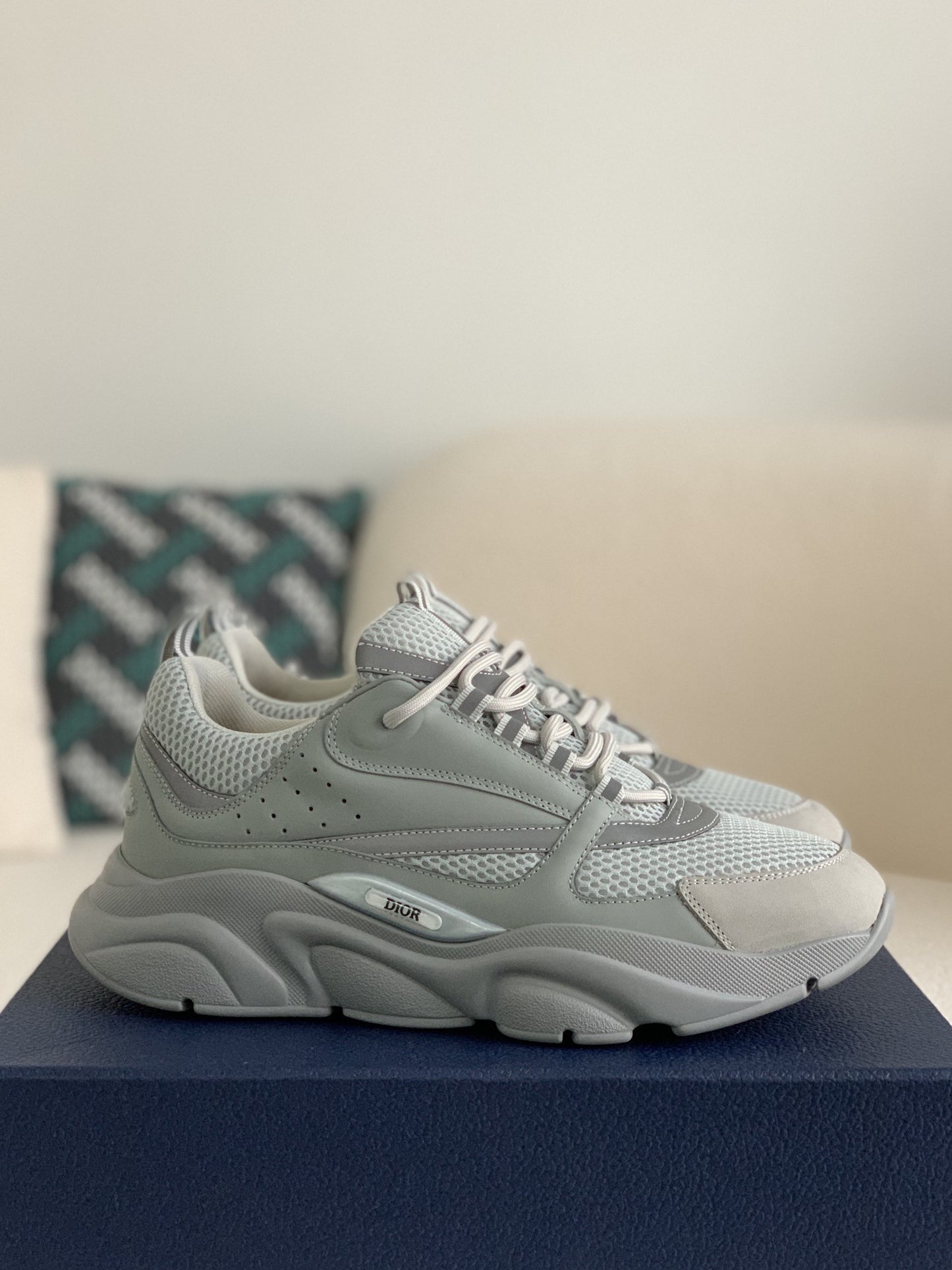 Dior B22