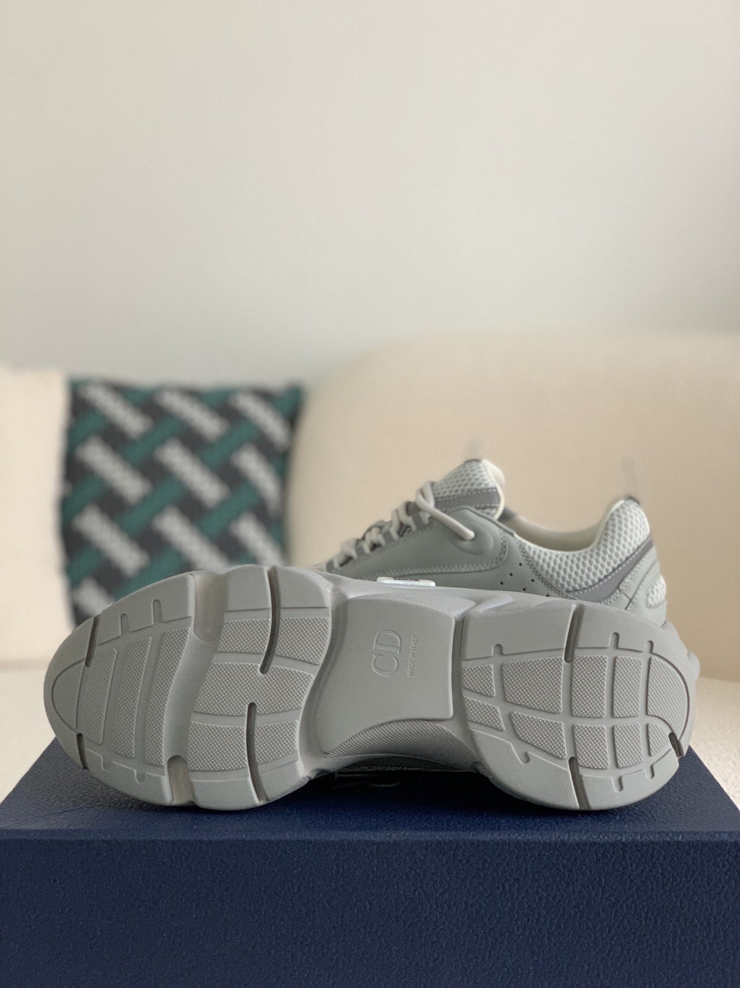 Dior B22