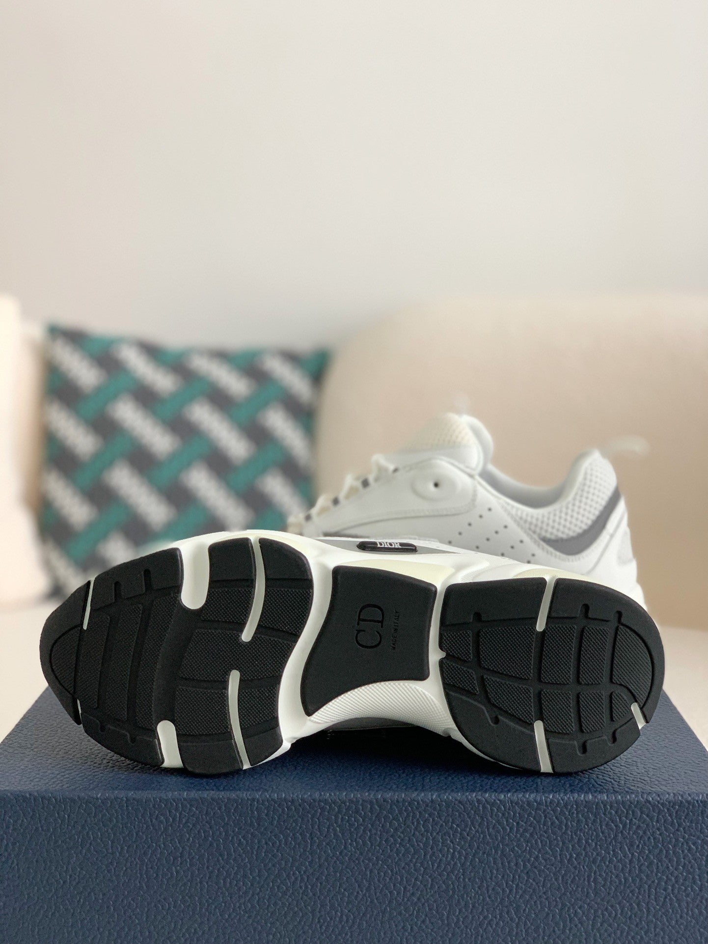 Dior B22