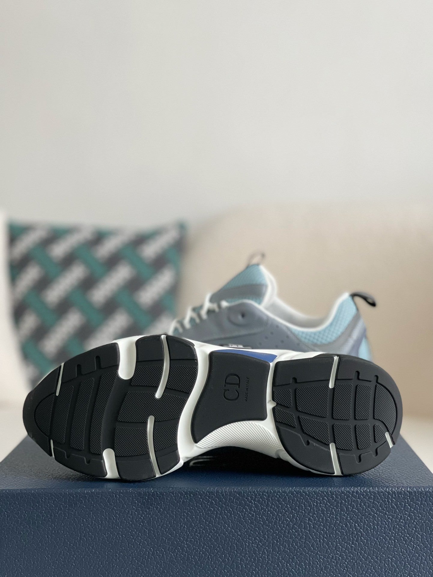 Dior B22