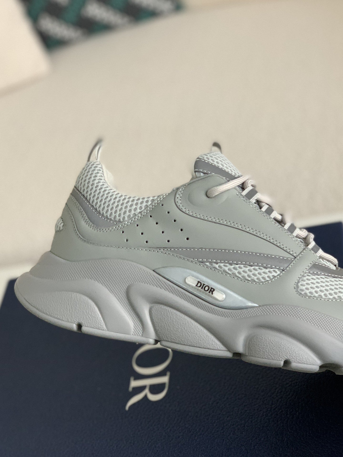 Dior B22
