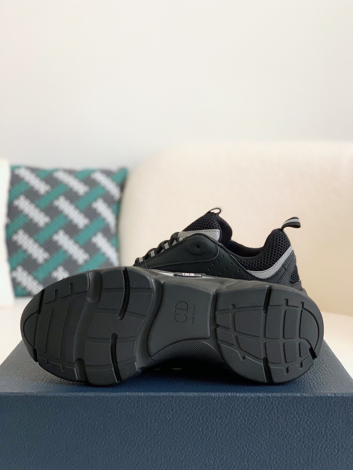 Dior B22