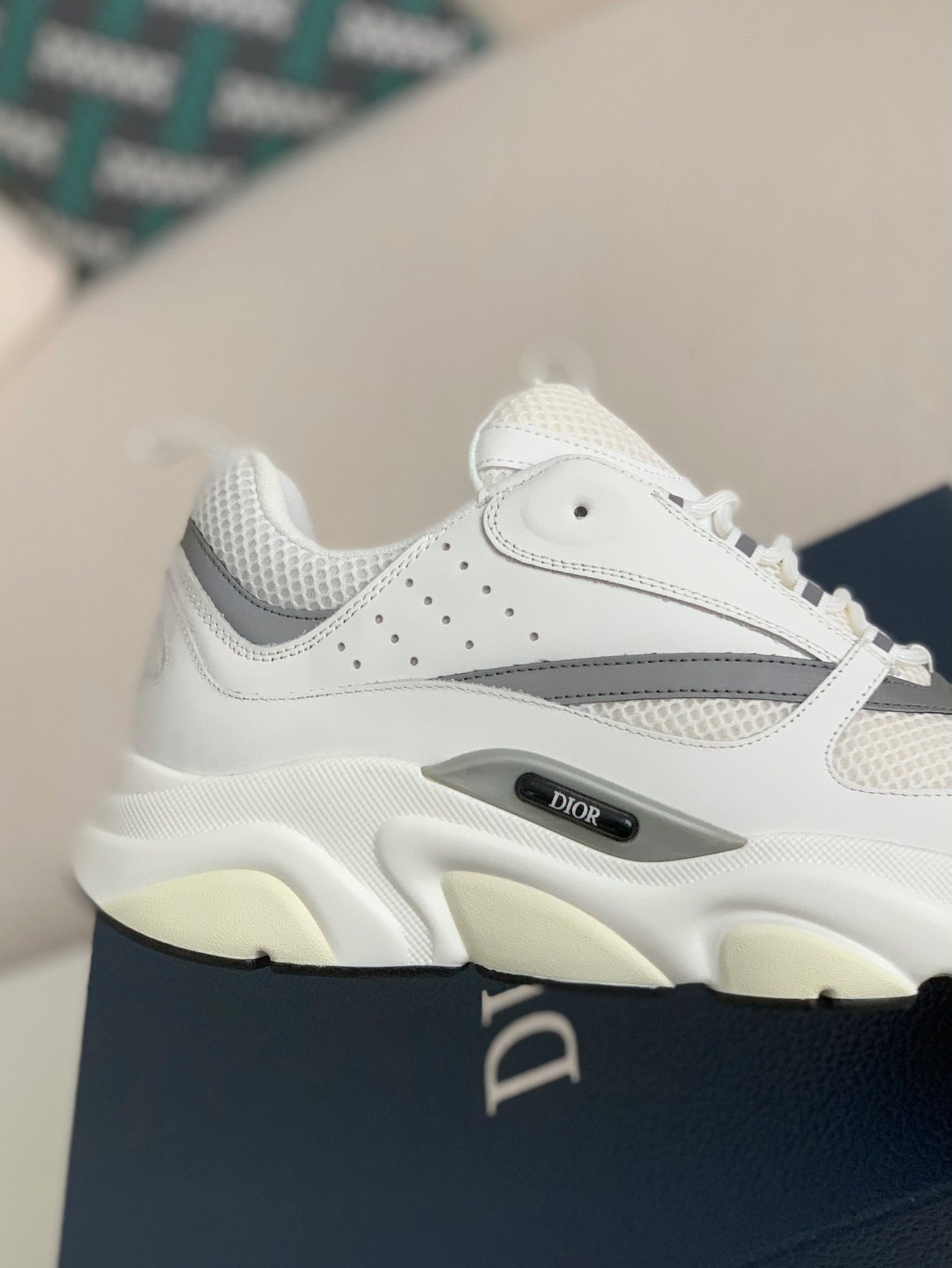 Dior B22