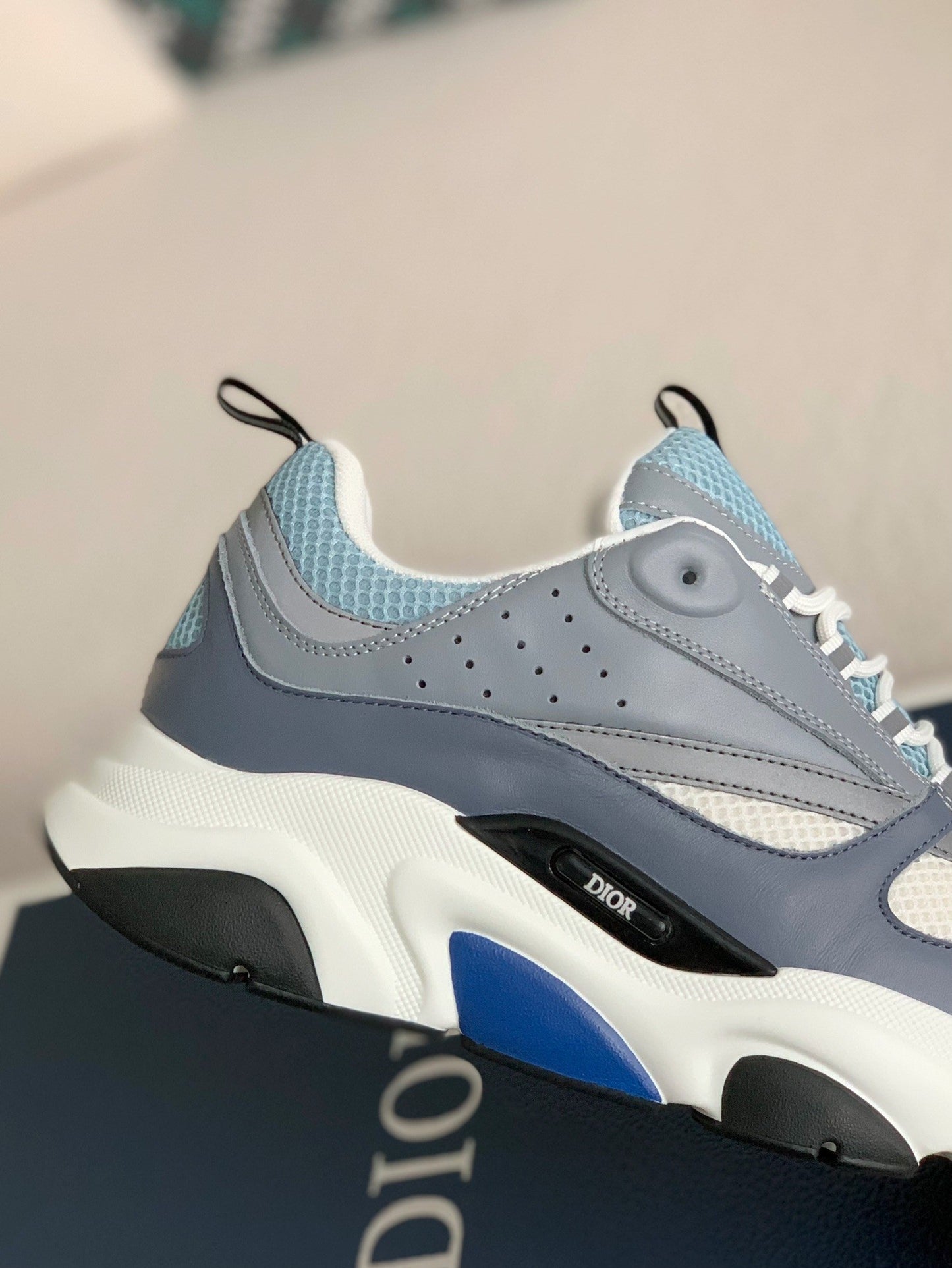 Dior B22