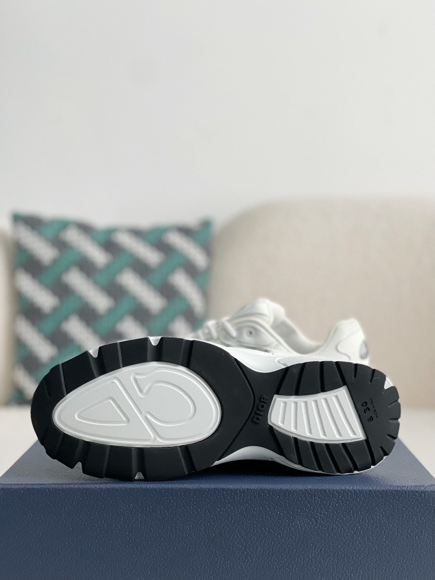 Dior B30