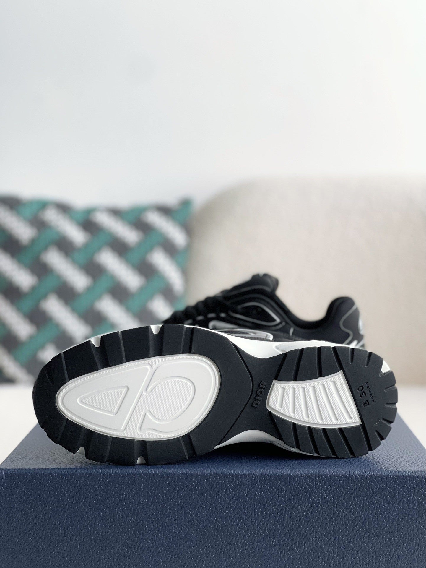 Dior b30