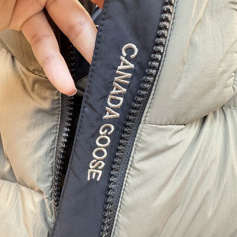 Canada Goose