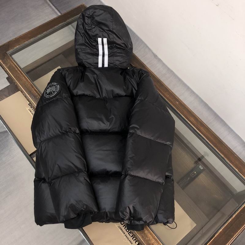 Canada Goose