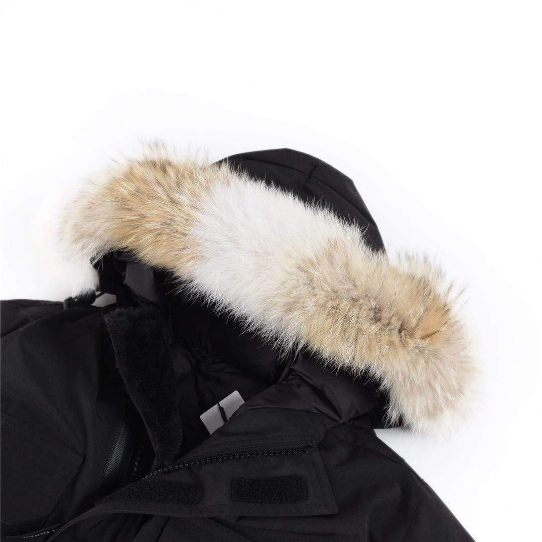 Canada Goose