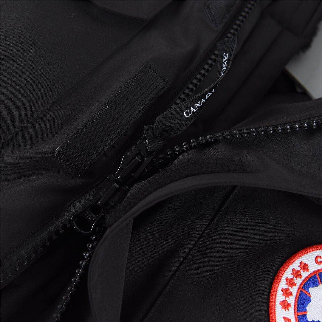 Canada Goose